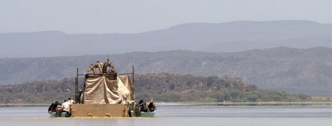 Giraffes on barge