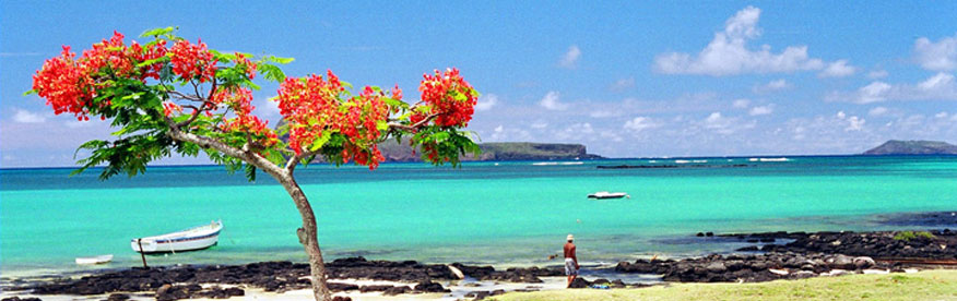 List Of Laureates 2012 Mauritius
