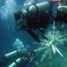 Seacology in Southeast Asia