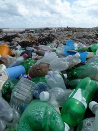 Plastic bottles littering a beach. Photo: TAP.